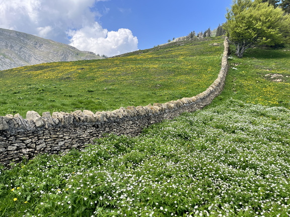 23-05-26 13-28-44 5702